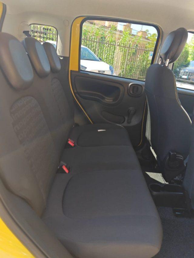 FIAT Panda 1000 HYBRID PANDINA 70 CV CARPLAY PDC ITALIA