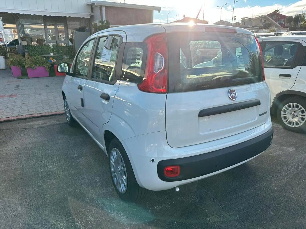 Fiat Pandina 1.0 firefly hybrid Icon s&s 70cv 5p.ti