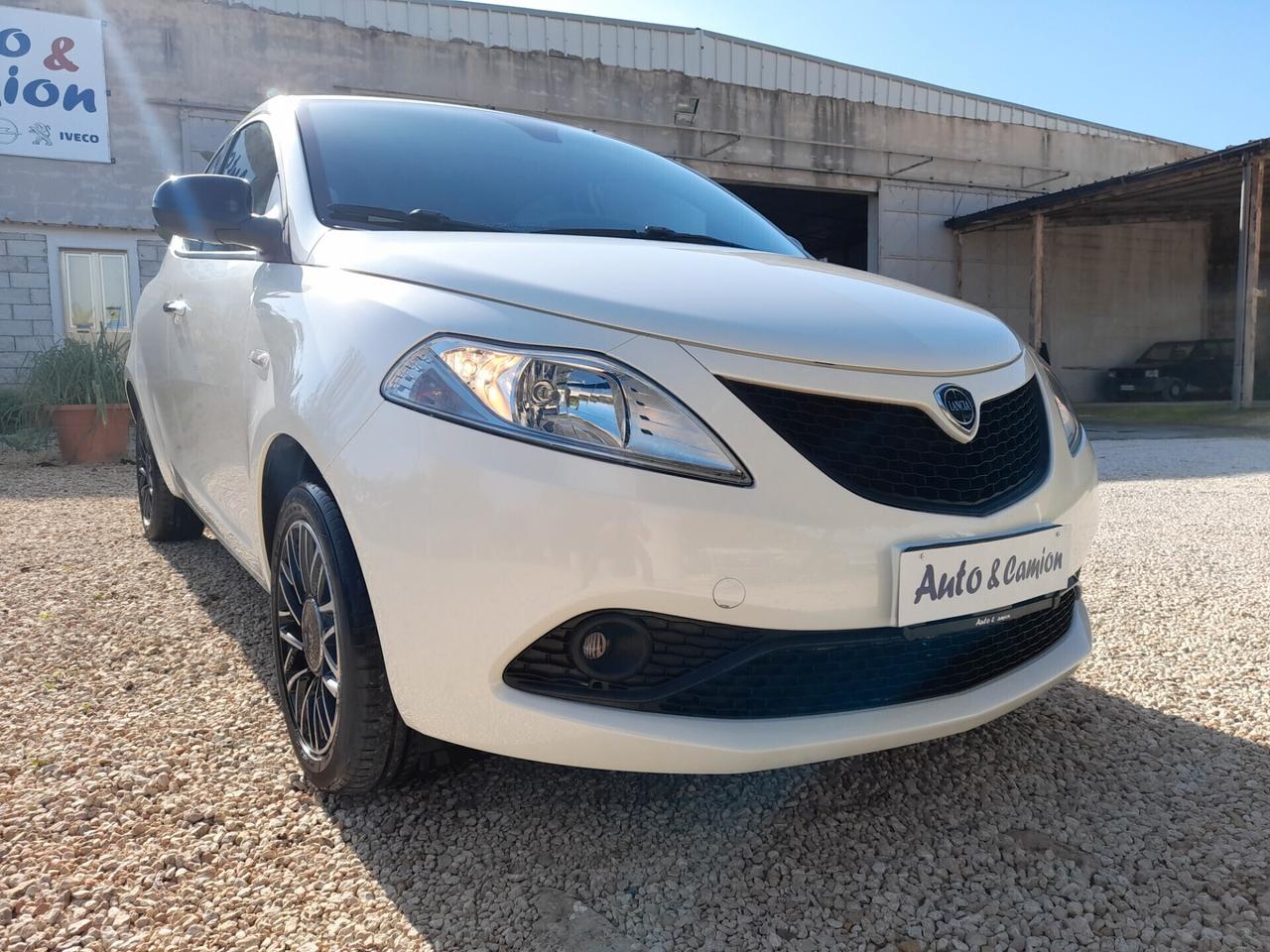 Lancia Ypsilon 1.2 69 CV Gold 2019 neopatentati ok