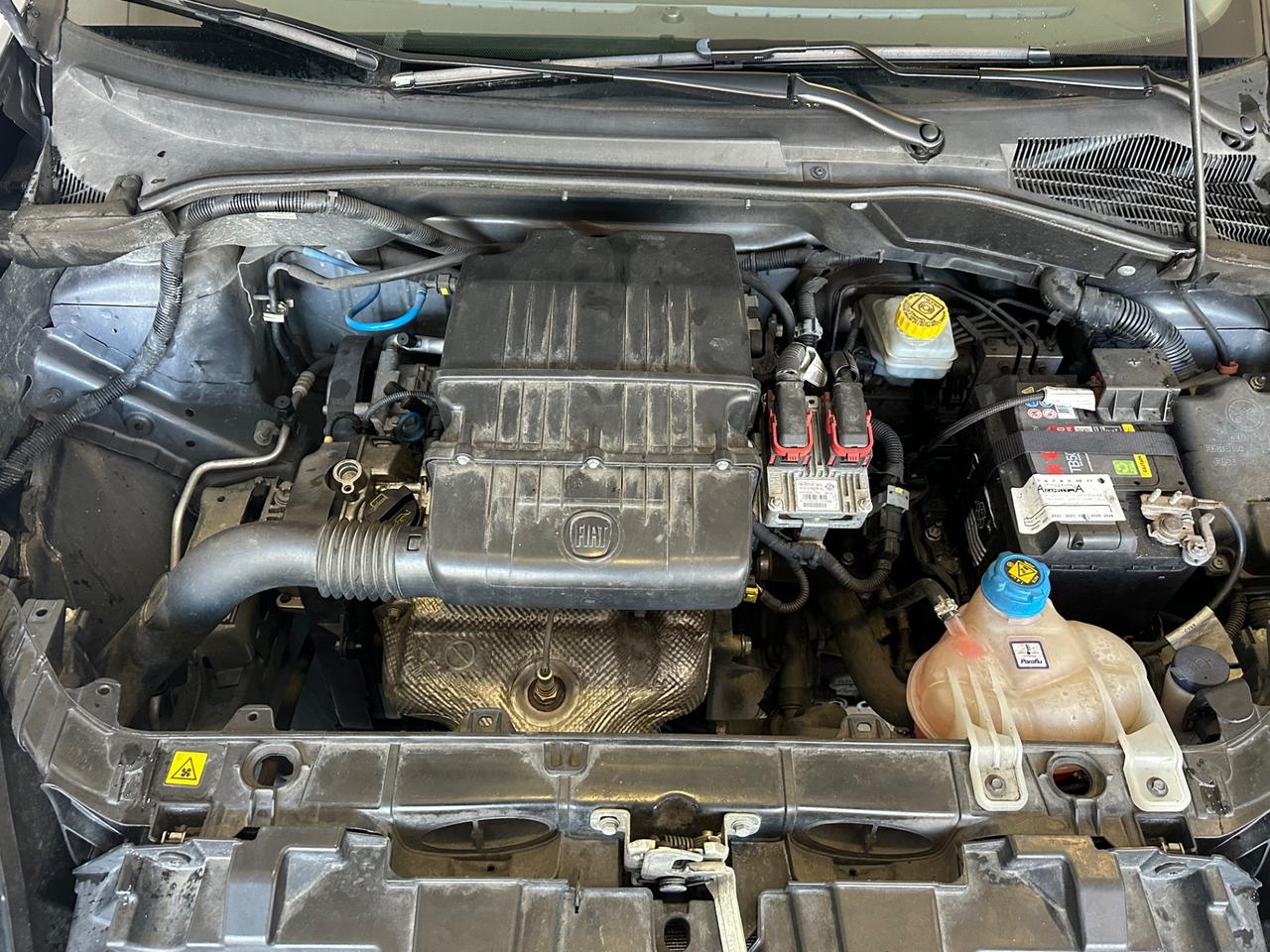 Fiat Punto 1.2 8V 3 porte Lounge LEGGERE BENE