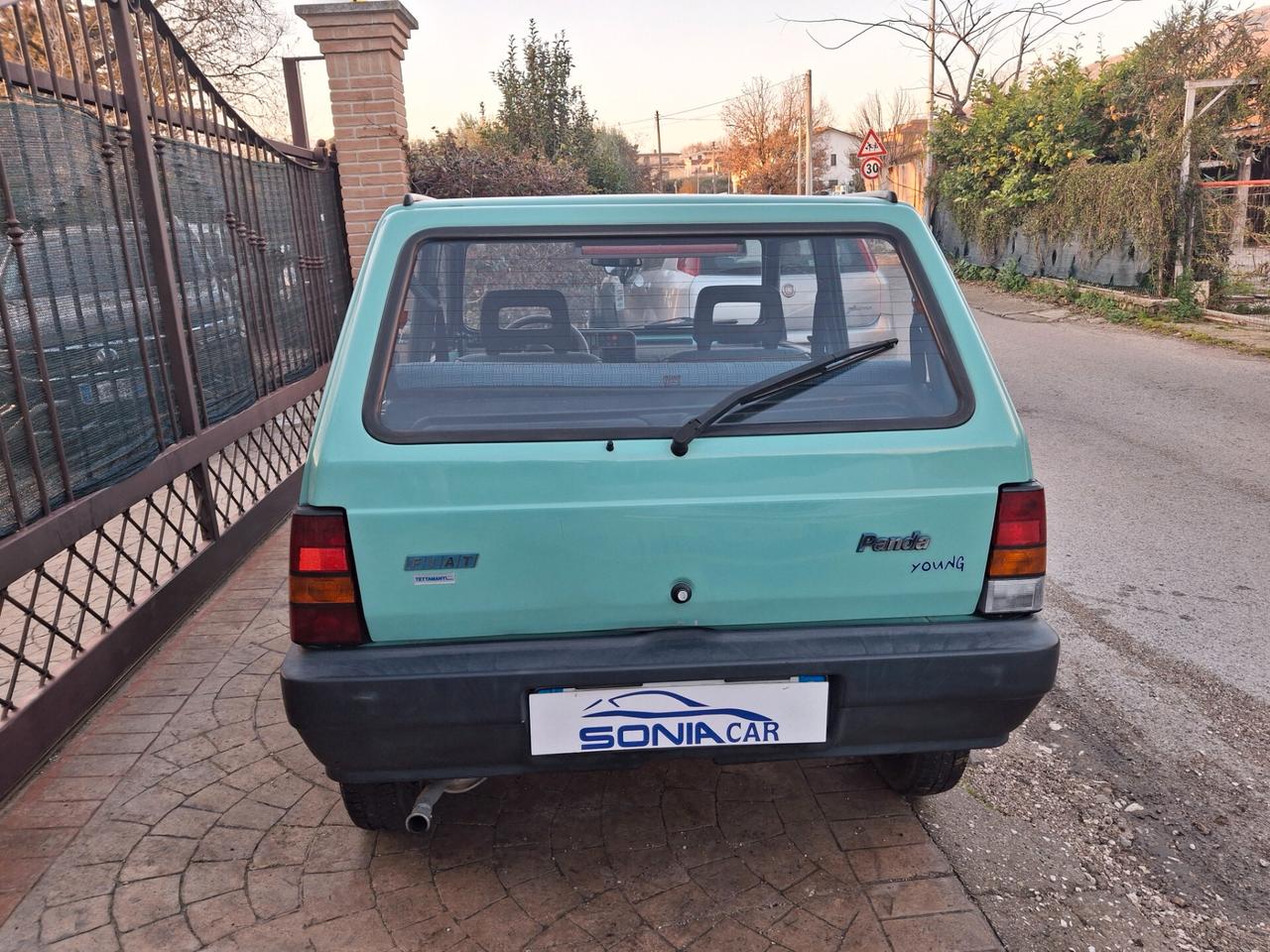 Fiat Panda 1100 i.e. cat Young