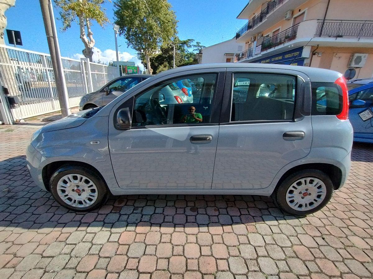 FIAT - Panda - 1.2 Easy