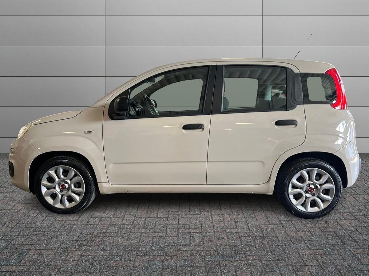 FIAT Panda 3ª serie - Panda 1.2 Pandazzurri