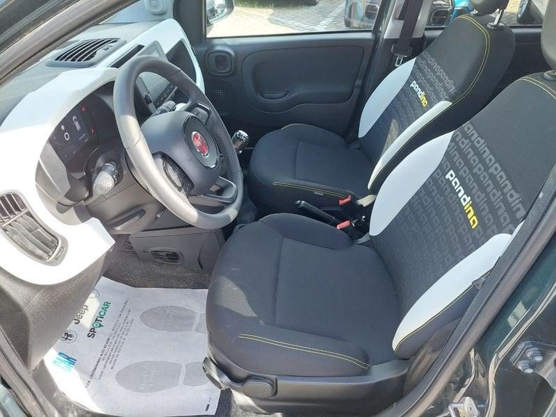 FIAT Panda 1.0 FireFly 70cv S&S Hybrid Pandina