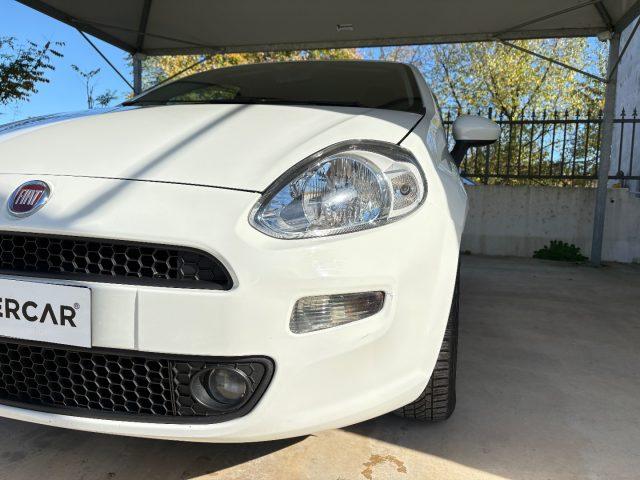FIAT Punto 1.2 8V 5 porte Lounge EURO 6 TENUTA BENE