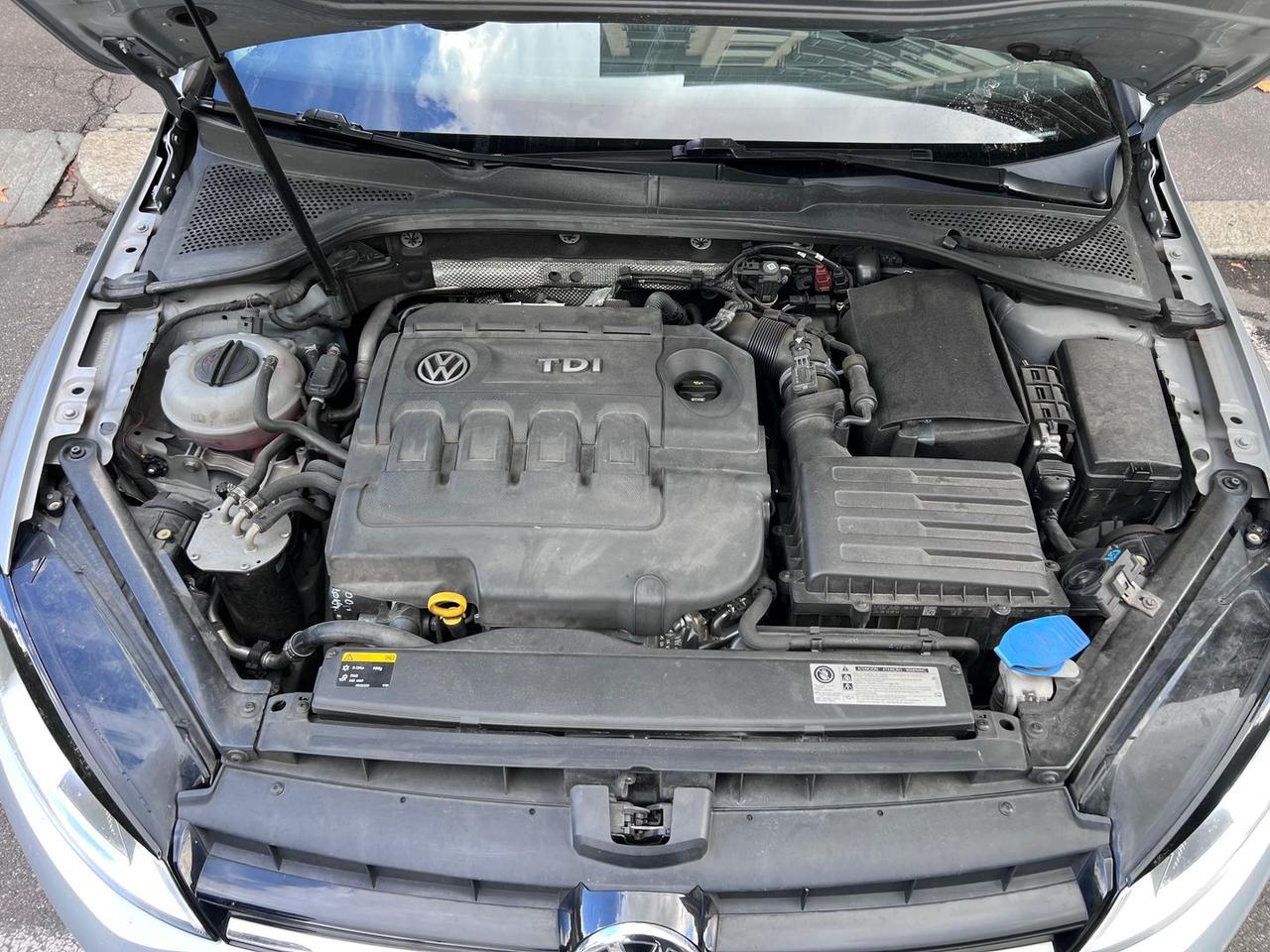 Volkswagen Golf Trendline 1.6 TDI BlueMotion #6607