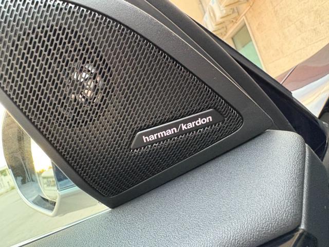 BMW X3 xDrive20d 48V CERCHI DA 20''-HARMAN/KARDON