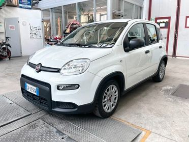 Fiat Panda 1.0 FireFly S&S Hybrid City Life Schermo Digitale Aziendale