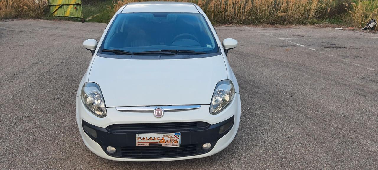 Fiat Punto 1.3 MJT 75CV 3 porte Van 2 posti