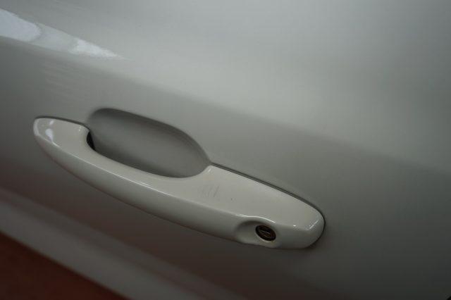 FORD Focus 1.5 EcoBlue 120 CV automatico 5p. ST-Line Co-Pilot