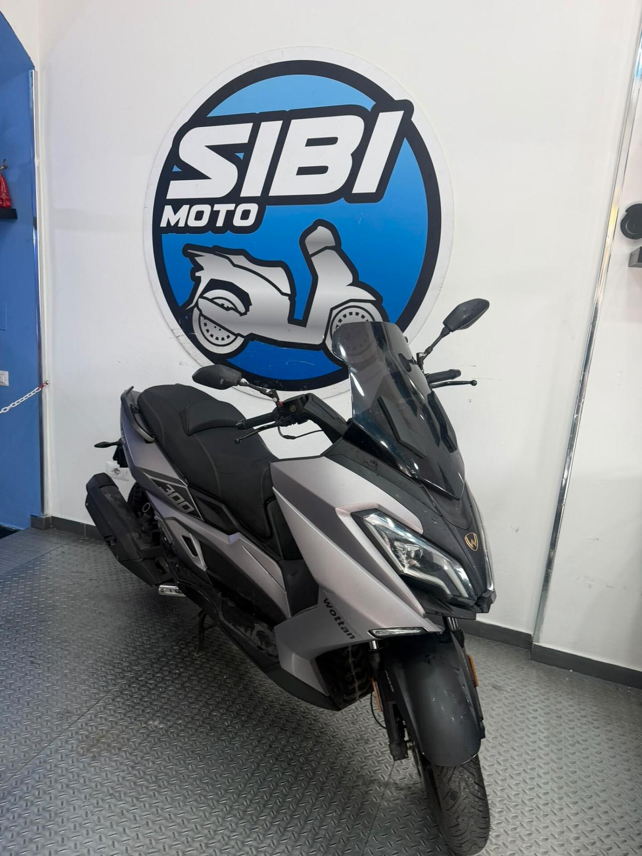 Wottan Motor Storm-S 300