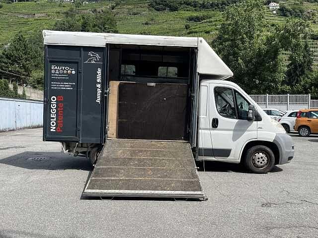 Fiat Ducato 30 2.3 MJT Trasporto Cavalli