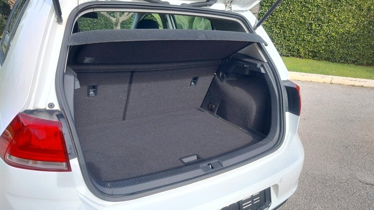 Volkswagen Golf 1.6 TDI 90 CV 5p. Trendline BlueMotion Technology