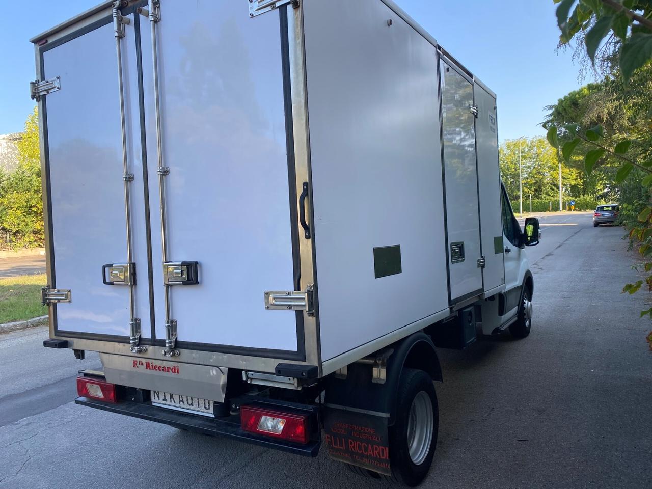 Ford Transit CELLA FRIGO