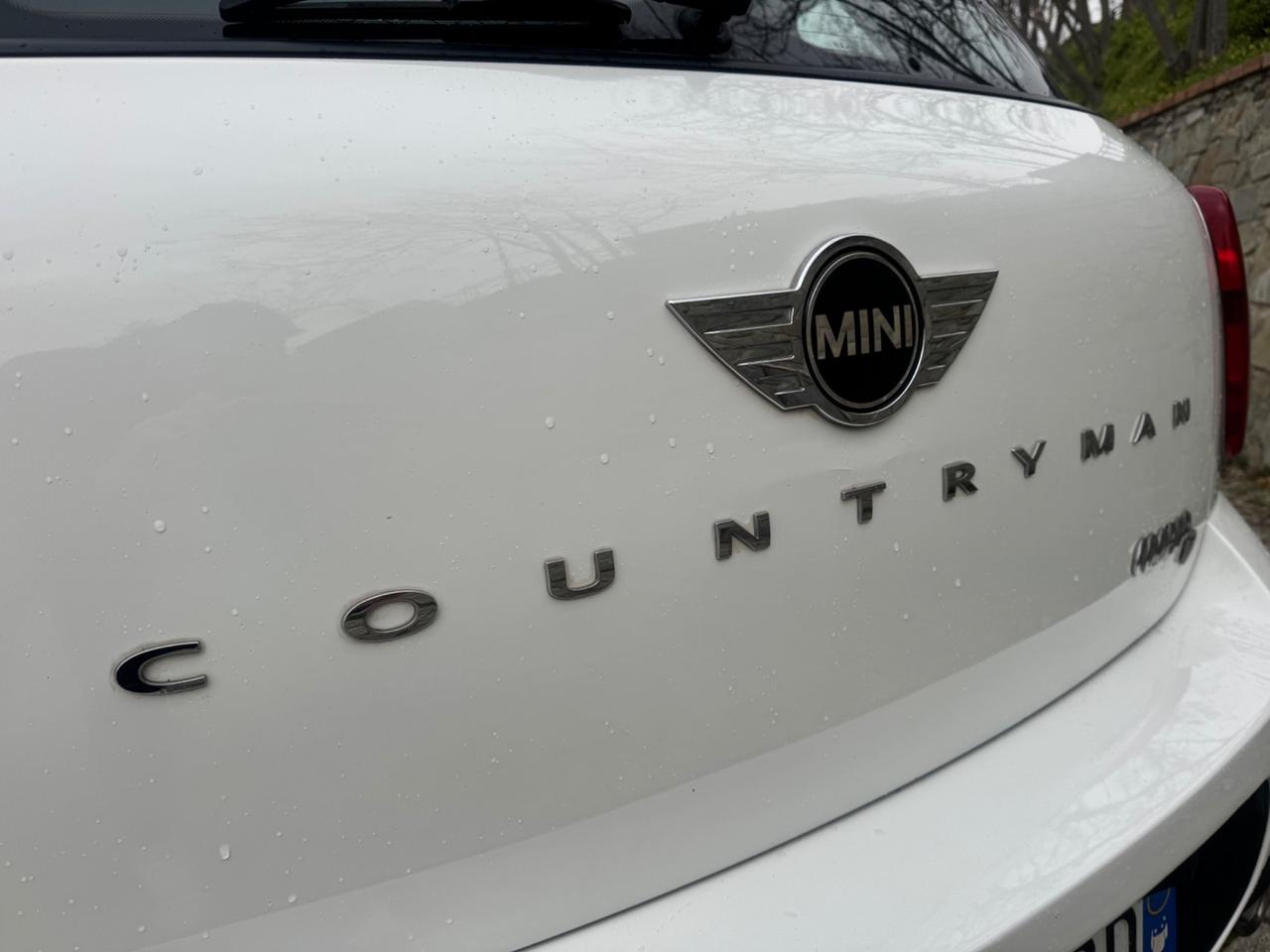 Mini Countryman 1.6 Diesel 110Cv 2010