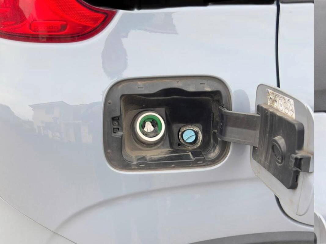 Fiat Panda III Panda 2022 - 1.2 easyp. City Life Gpl s&s 69cv