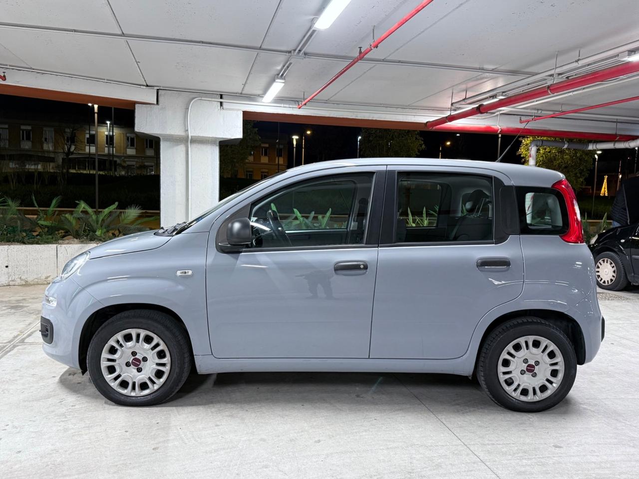 Fiat Panda 1.2 Easy UNICO PROP. - ZERO SINISTRI