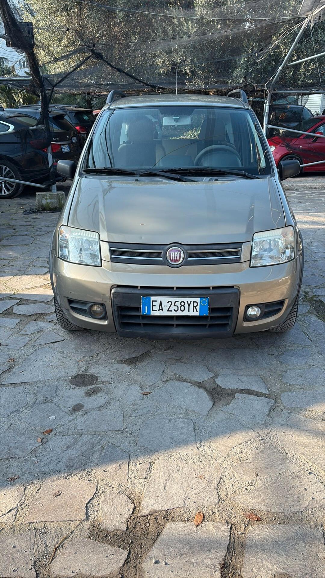 Fiat Panda 1.2 Dynamic Natural Power