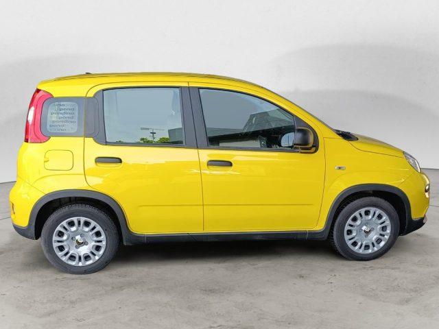 FIAT Panda 1.0 FireFly S&S Hybrid Pandina