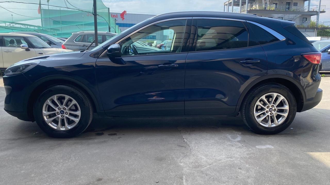 Ford Kuga 1.5 EcoBlue 120 CV 2WD Titanium