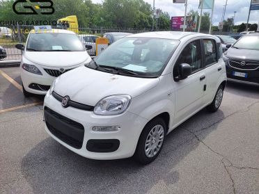 FIAT Panda 1.0 FireFly 70cv S&S Hybrid Pandina