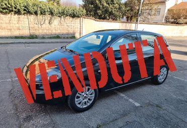 Fiat Punto 1.2 Benzina 8V 5 porte Lounge