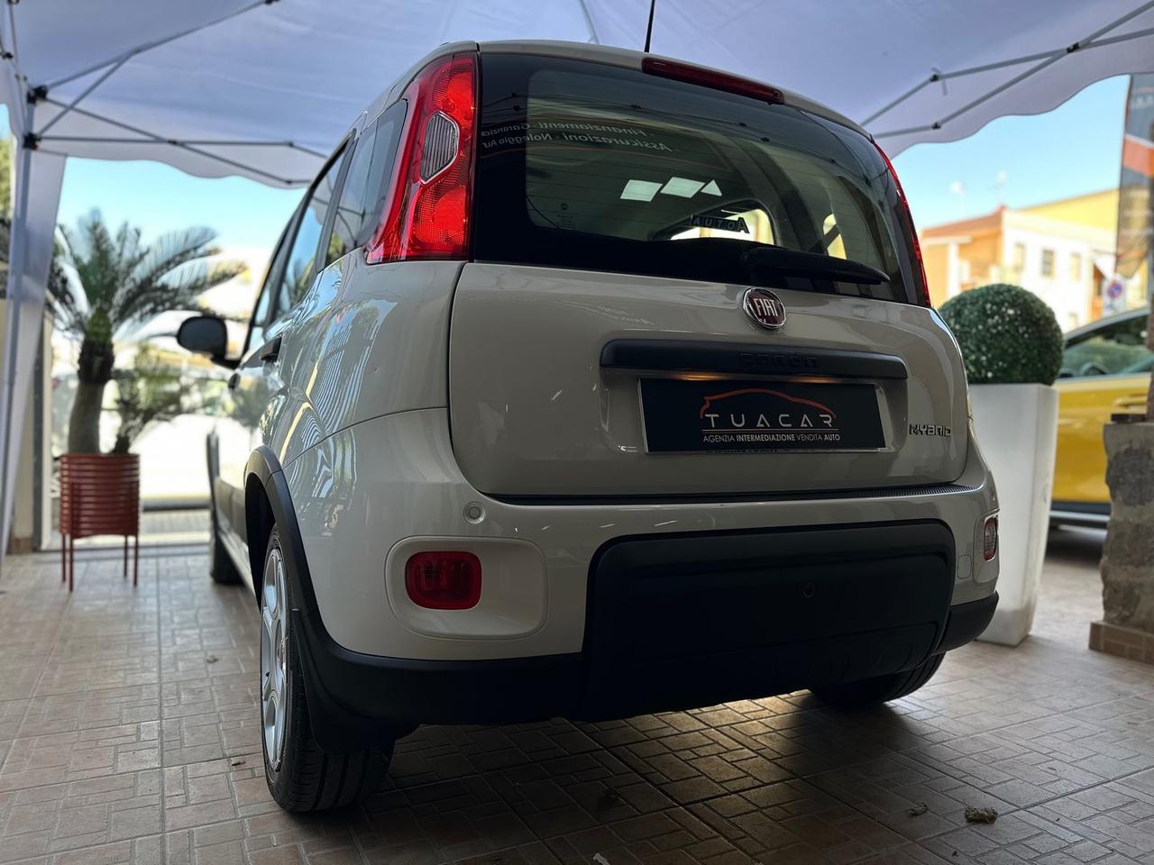 Fiat Panda 1.0 HYBRID MY24 #11654