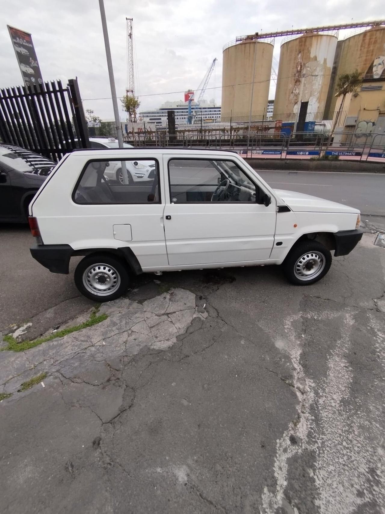 Fiat Panda 1100 i.e. cat Young