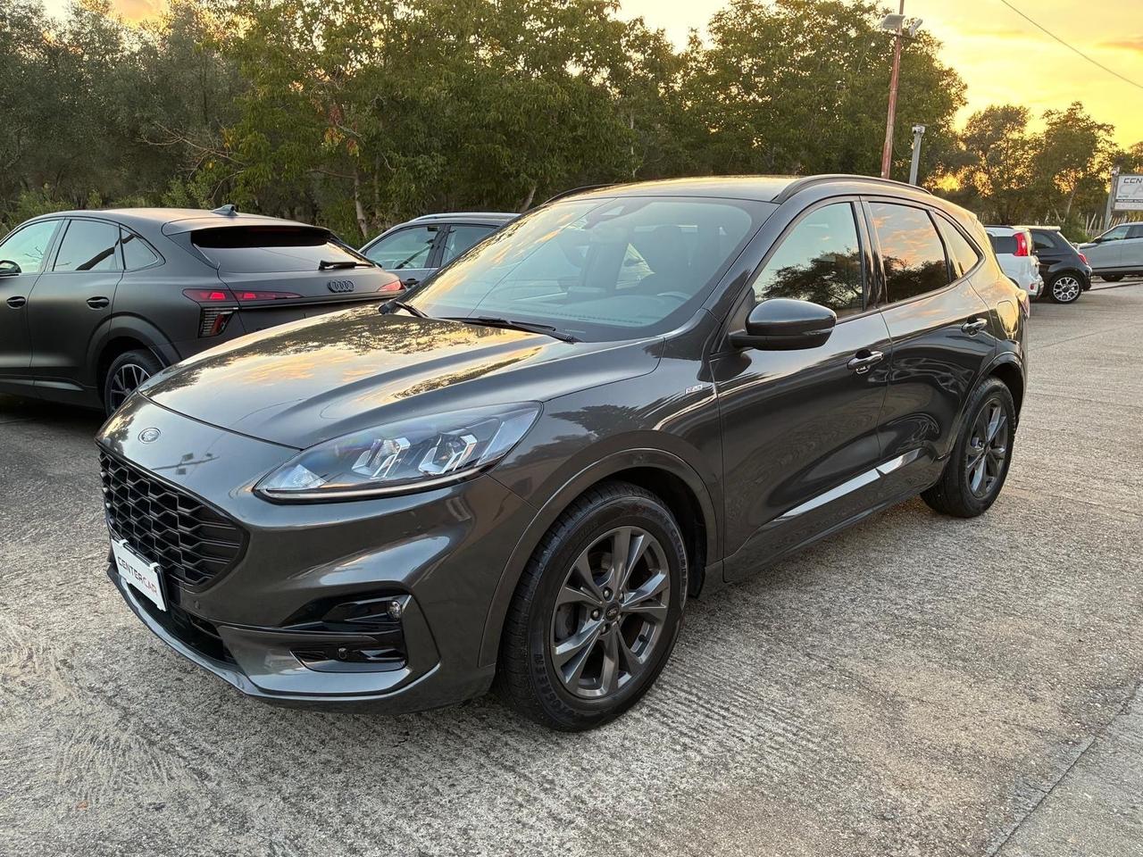 Ford Kuga 1.5 EcoBlue 120 CV 2WD ST-Line X