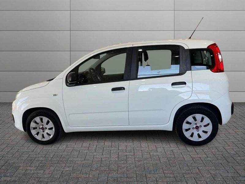 FIAT Panda Panda 1.2 Easy 69cv