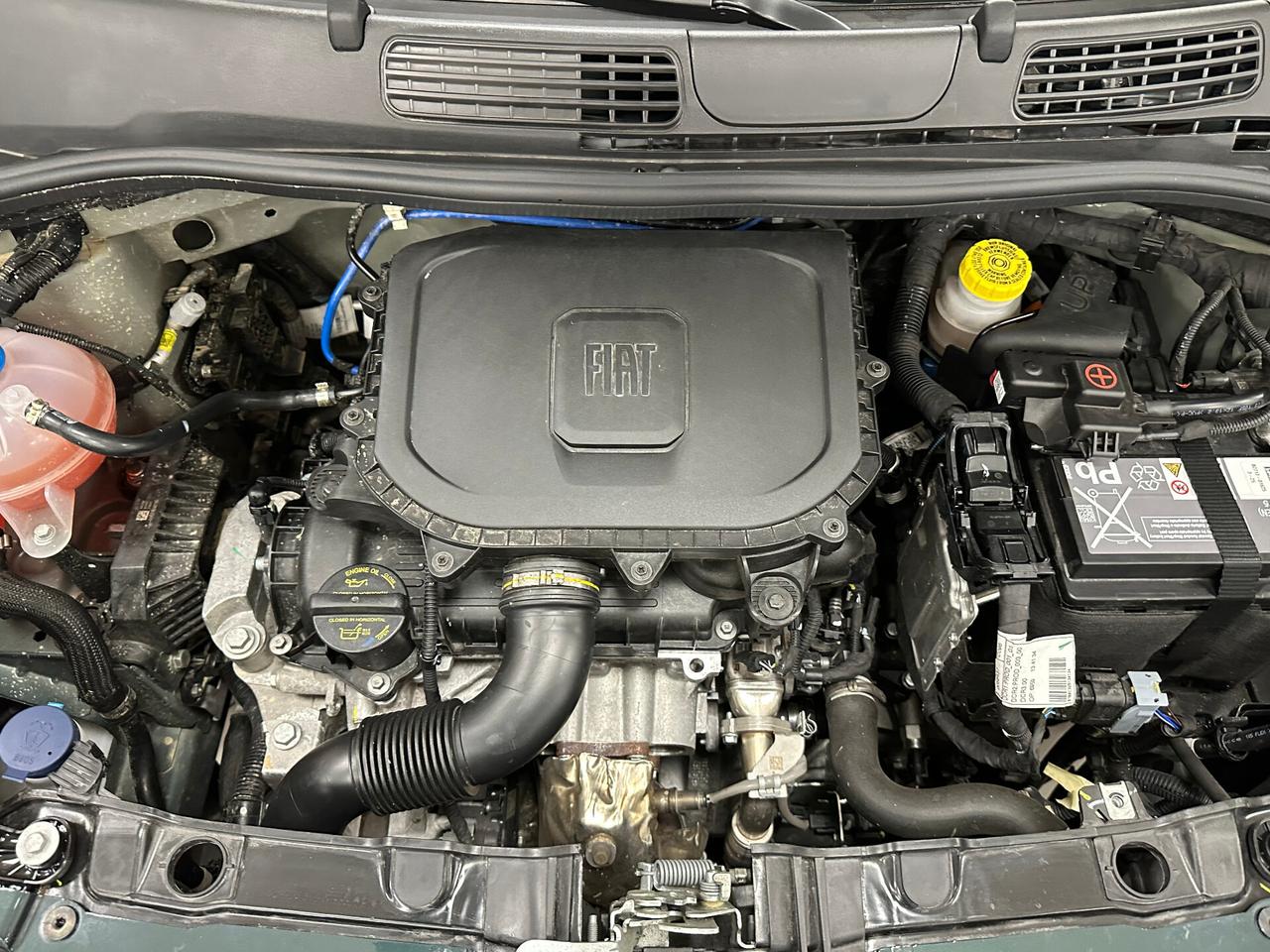 Fiat Panda 1.0 FireFly Hybrid Pandina 70 CV - 2025