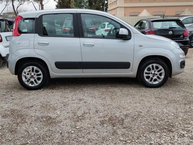 FIAT Panda 1.2 Lounge OK NEOPATENT. CLIMA,FENDINEBBIA