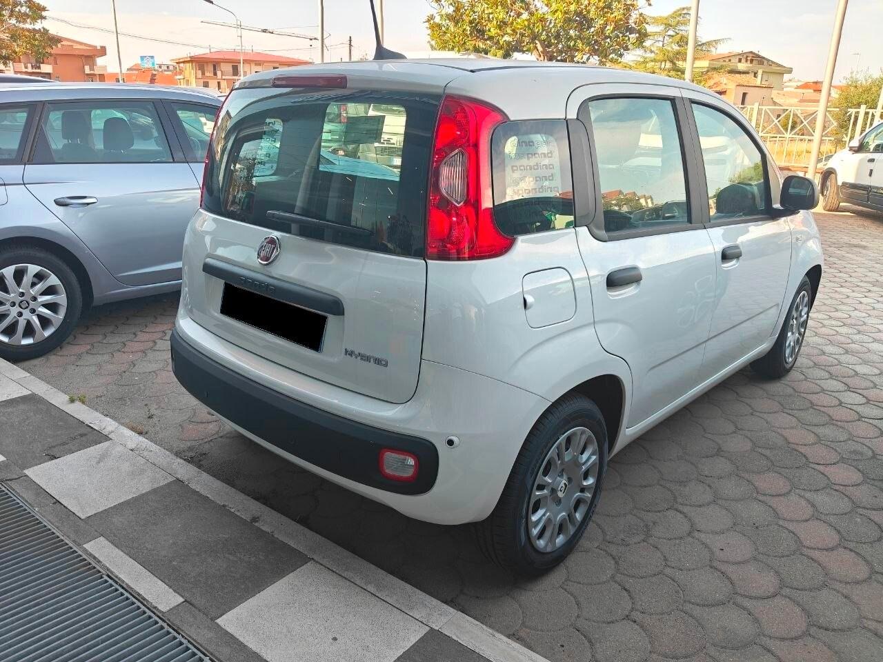 FIAT Pandina Pandina 1.0 FireFly 65 CV Hybrid Icon