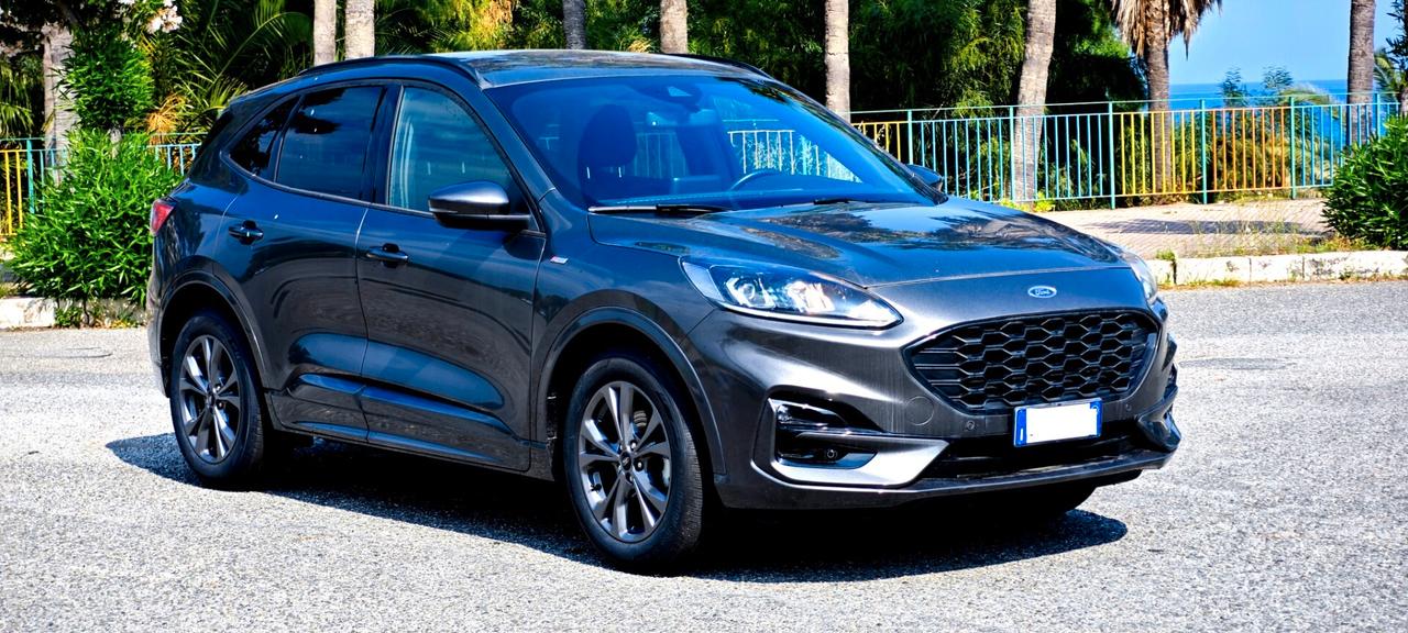 Ford Kuga 2.0 EcoBlue 120 CV aut. 2WD ST-Line