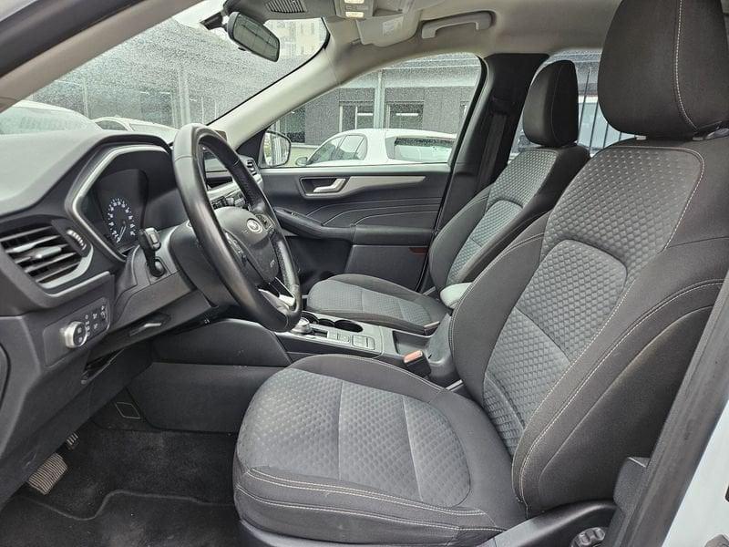 Ford Kuga 1.5 EcoBlue 120CV 2WD Auto