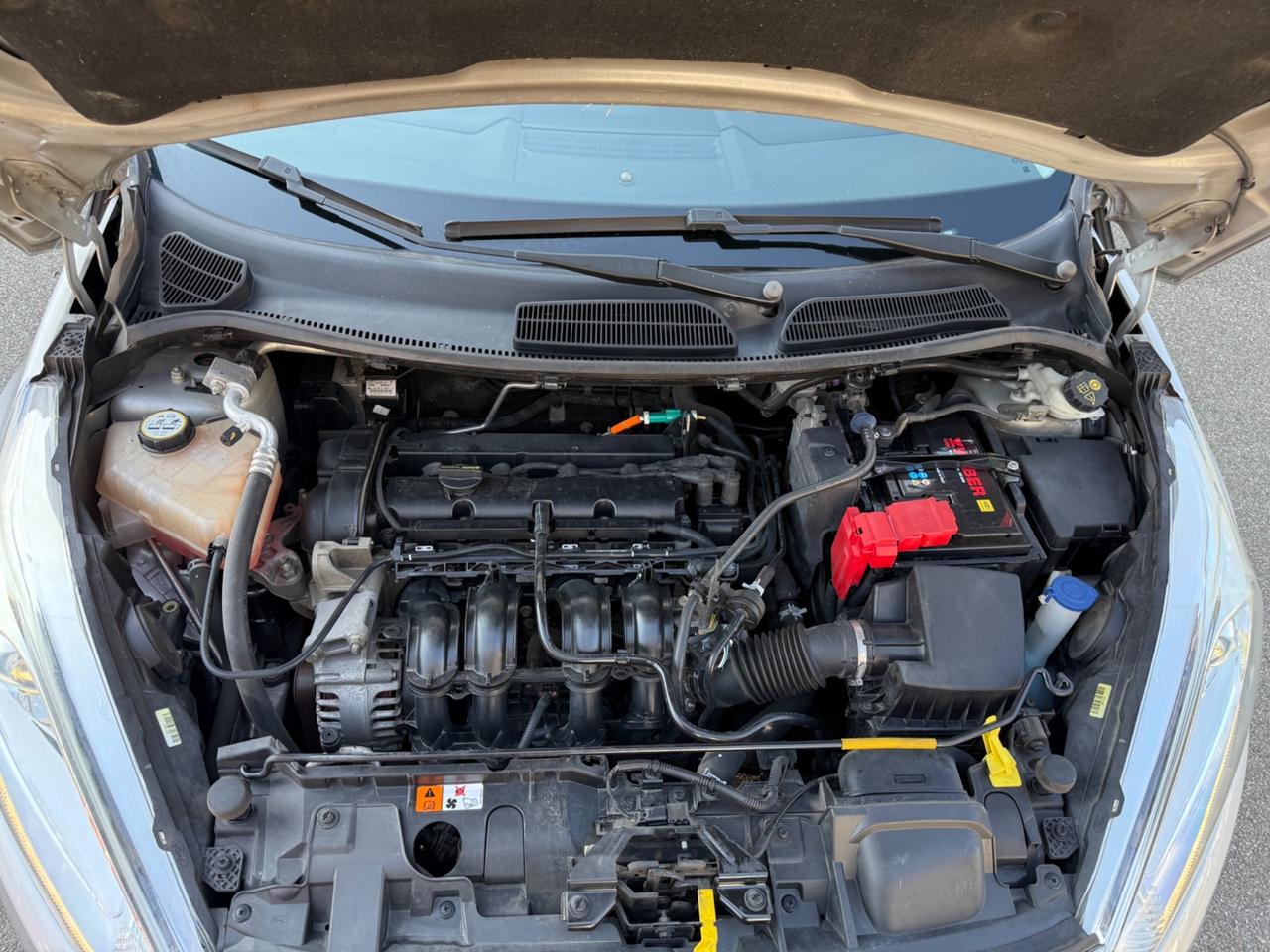 Ford Fiesta Ikon 1.2 60CV 5 porte per neopatentati