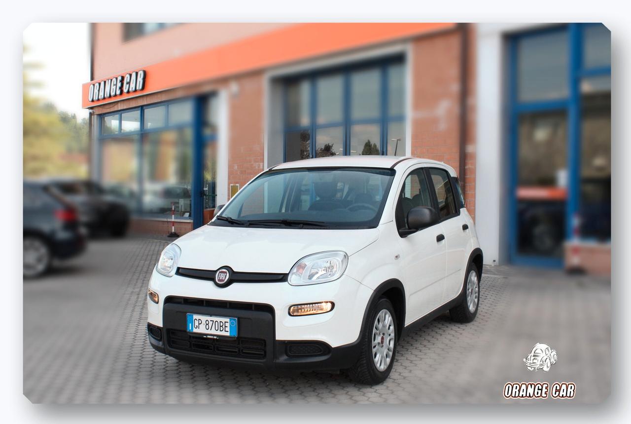 Fiat Panda 1.0 FireFly S&S Hybrid-OK NEOPATENTATI