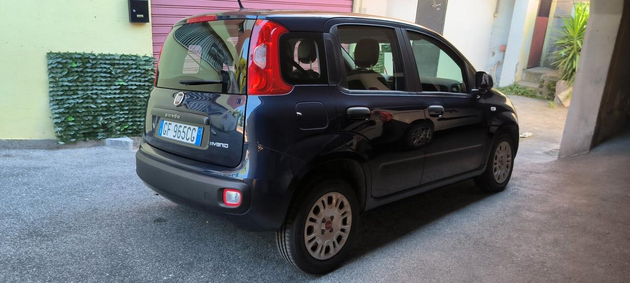 Fiat Panda 1.0 FireFly S&S Hybrid passaggio in omaggio per luglio