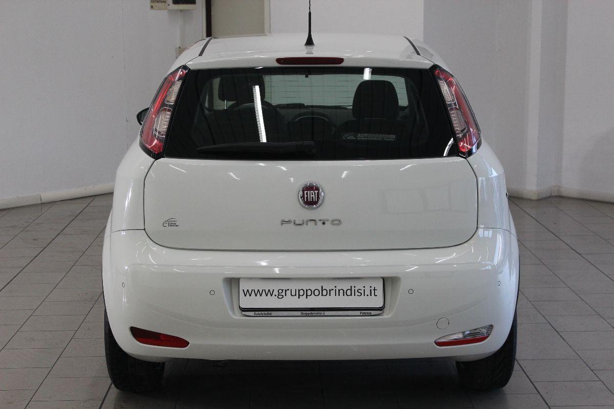 FIAT - Punto - 1.3 MJT II S&S 85 CV 5p.ECO Young