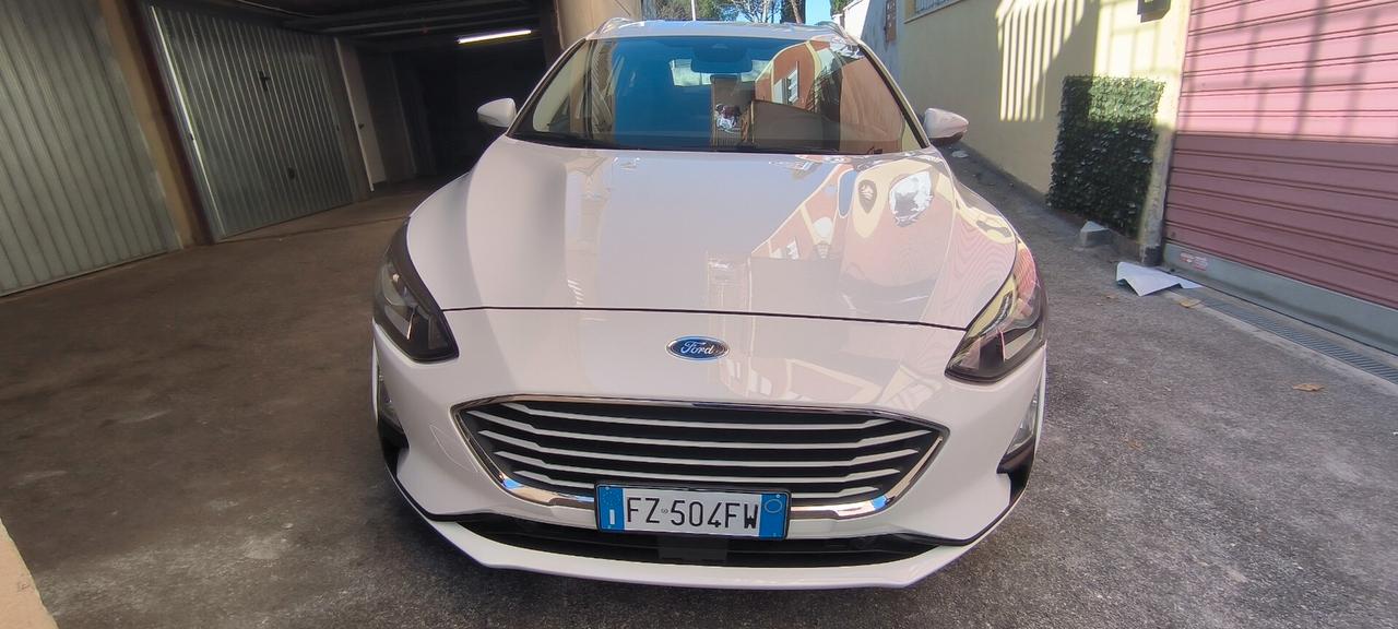 Ford Focus 1.5 EcoBlue 120 CV automatico SW Business Co-Pilot