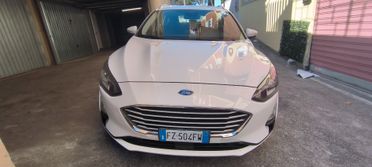 Ford Focus 1.5 EcoBlue 120 CV automatico SW Business Co-Pilot