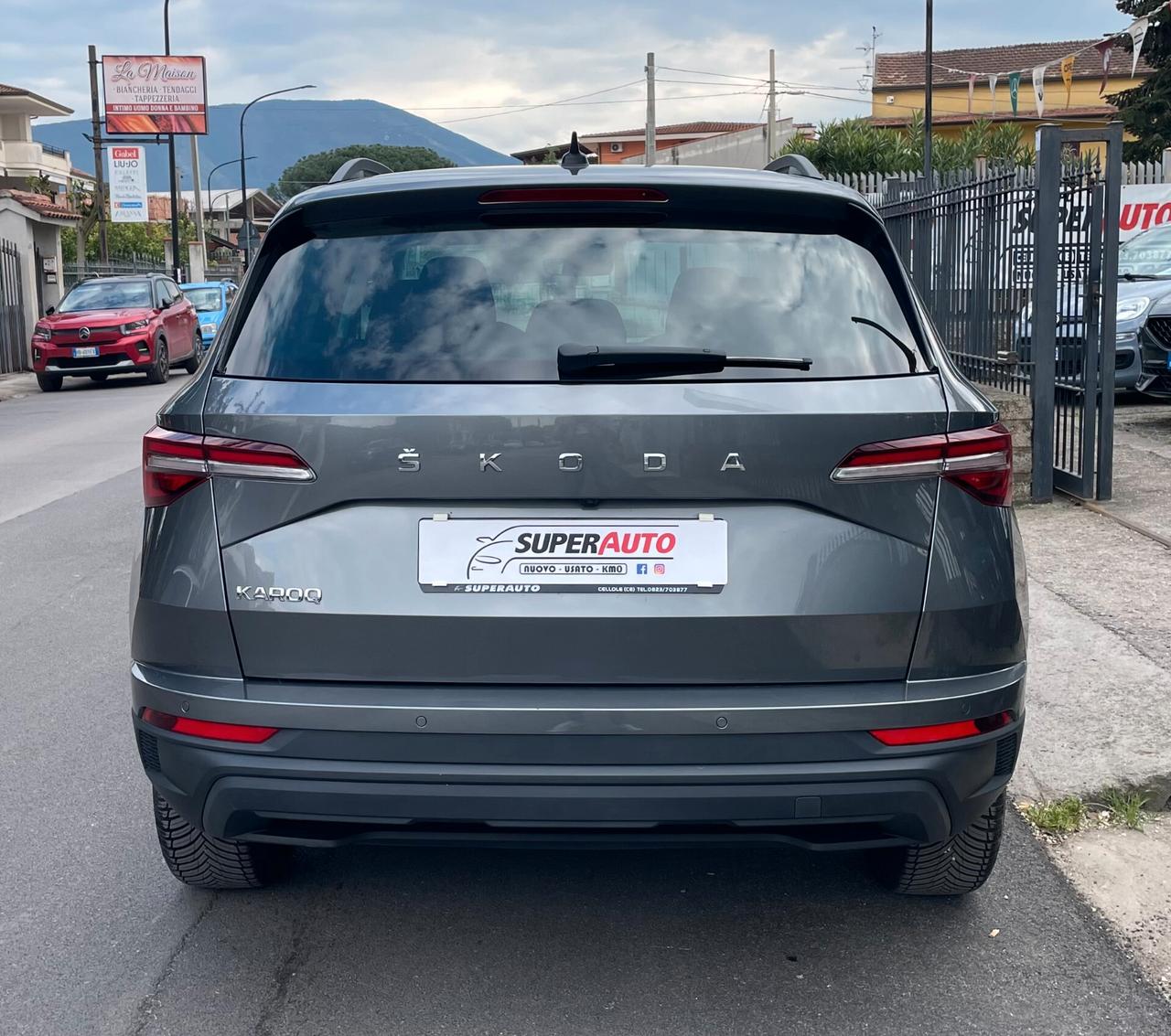 SKODA Karoq 2.0 TDI 115CV DSG Executive