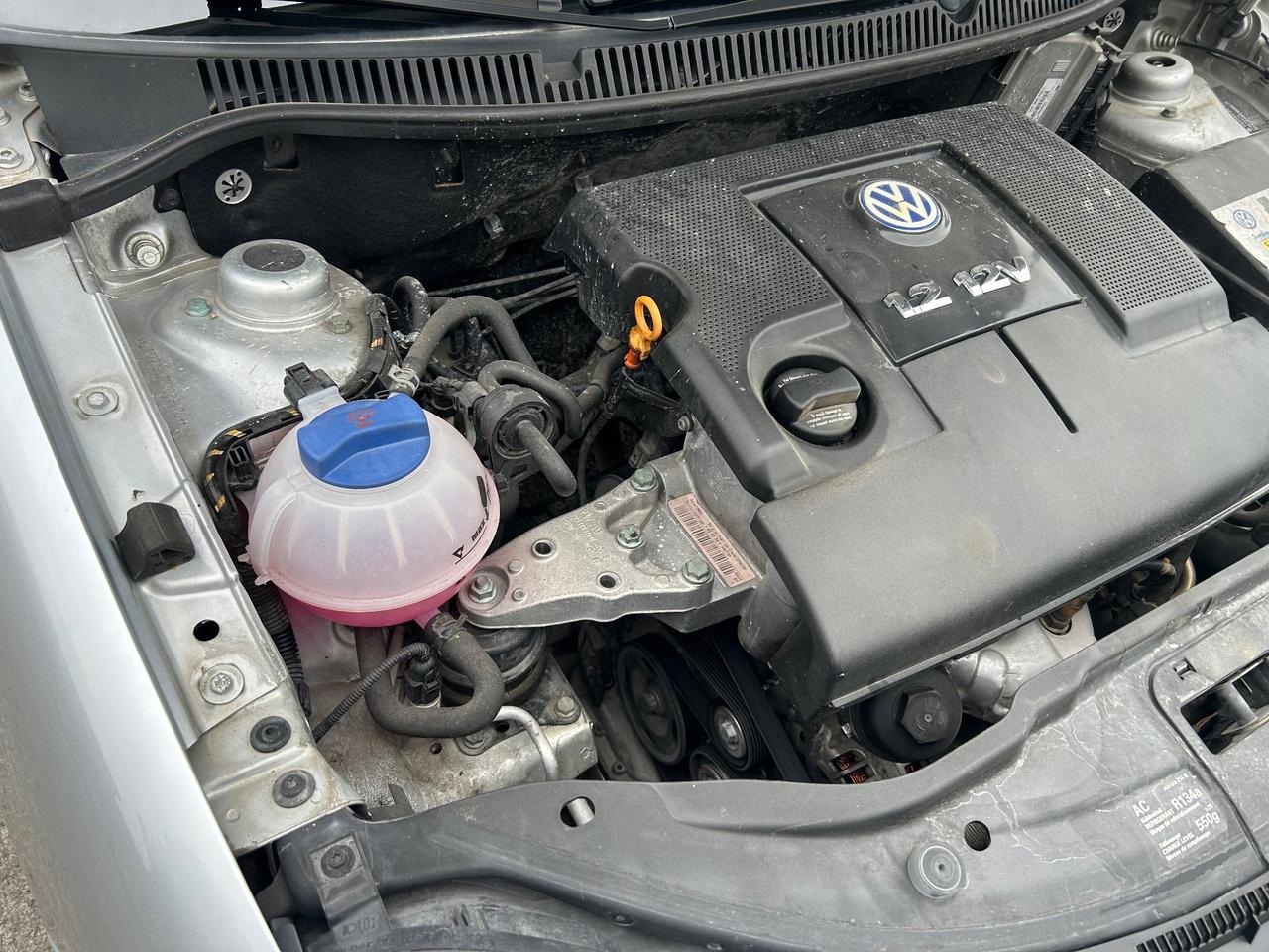 Volkswagen Polo 1.2 12V 5p. Trendline 98000km