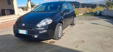 Fiat Punto 1.2 8V 5 porte Street