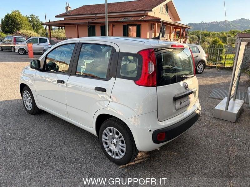 FIAT Pandina 1.0 FireFly 65cv S&S 6m Hybrid Icon