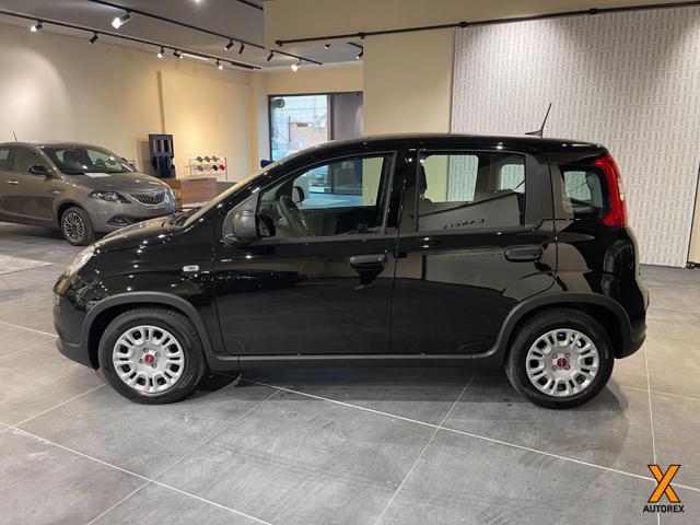 FIAT Panda 1.0 FireFly S&S Hybrid Con Rottamazione