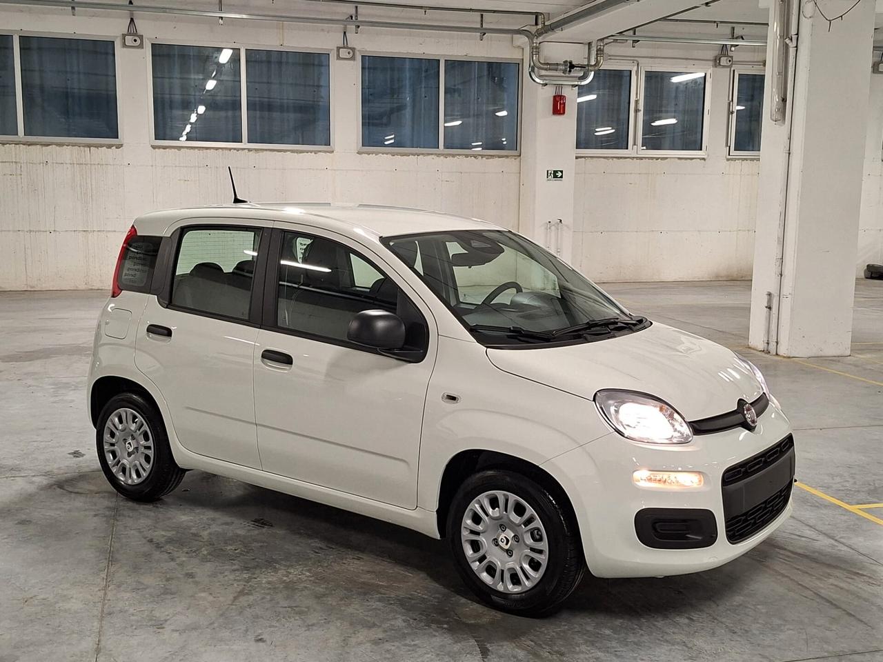 Fiat Panda 1.0 FireFly Hybrid 70CV Icon Km.0 (296)