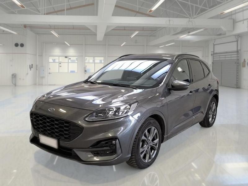 FORD KUGA 1.5 EcoBlue 120CV 2WD ST-Line X Auto