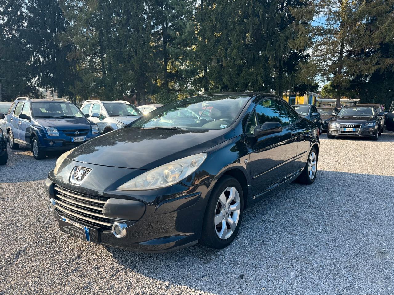 Peugeot 307 1.6 16V CC Tecno