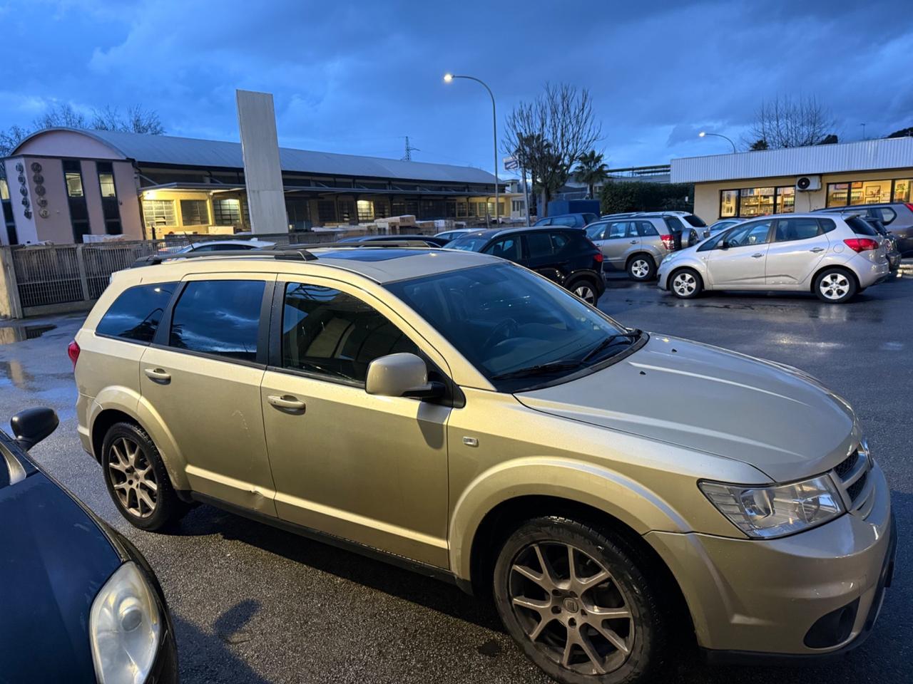 Fiat Freemont 2.0 Multijet 170 CV Park Avenue